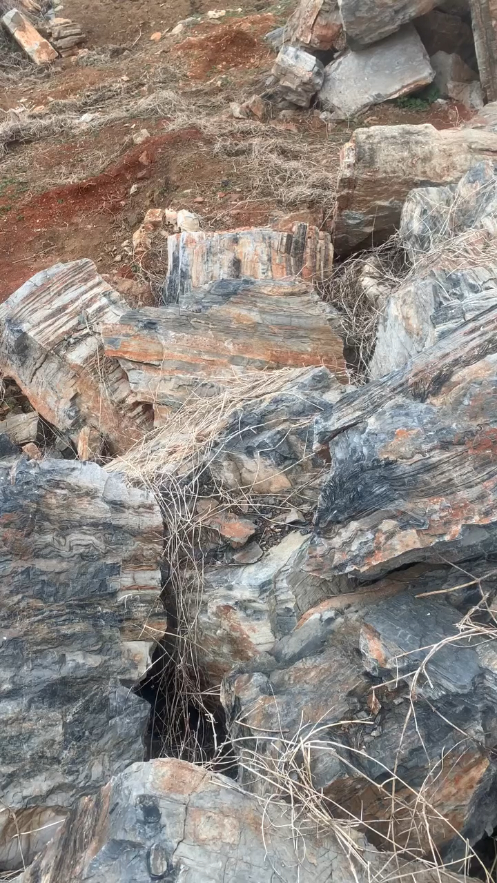 千层石千层石千层石价格千层石厂家千层石供应千层石产地千层石批发