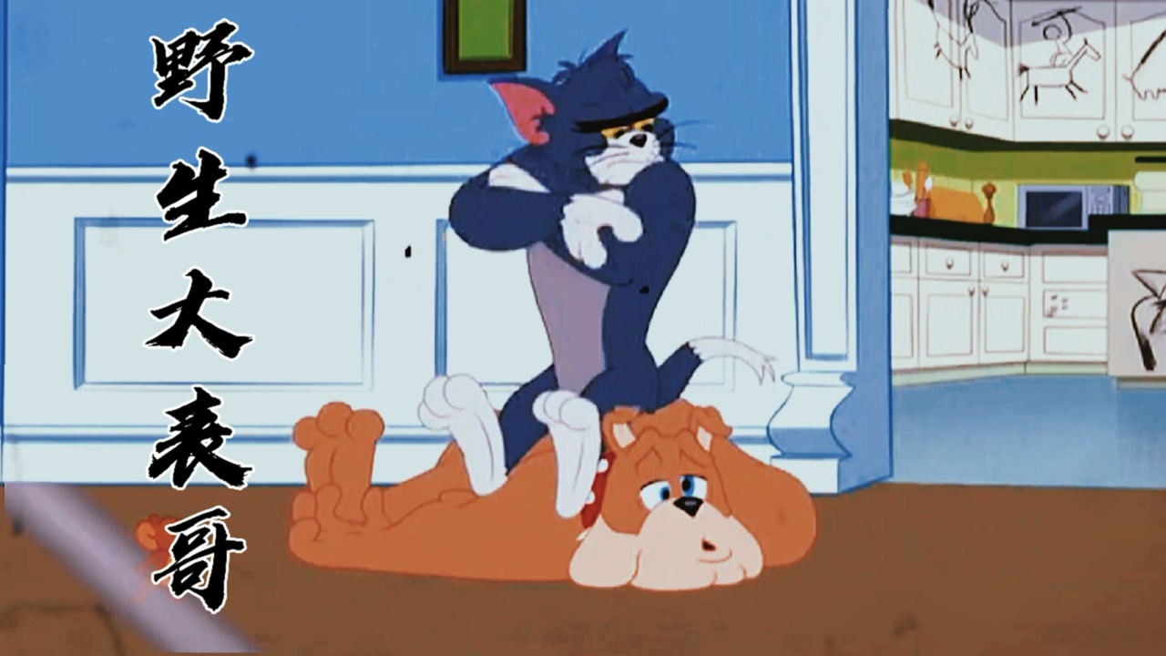 猫和老鼠#"汤姆的野生大表哥来袭"