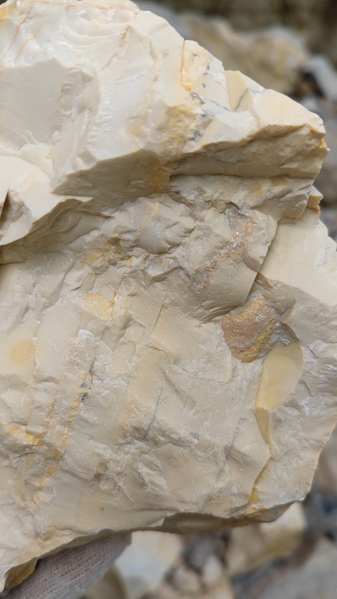 捡石头#遍地金膏玉原石