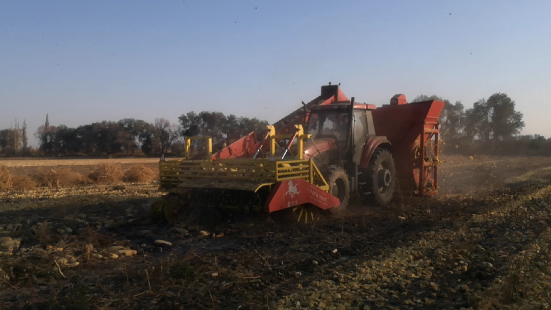新疆玛纳斯县军宏农机背负式打瓜葫芦收获机