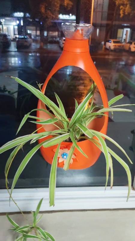 梅子手工花盆雕刻#洗衣液瓶制作简单的吊兰花盆,这款够简单了 ??