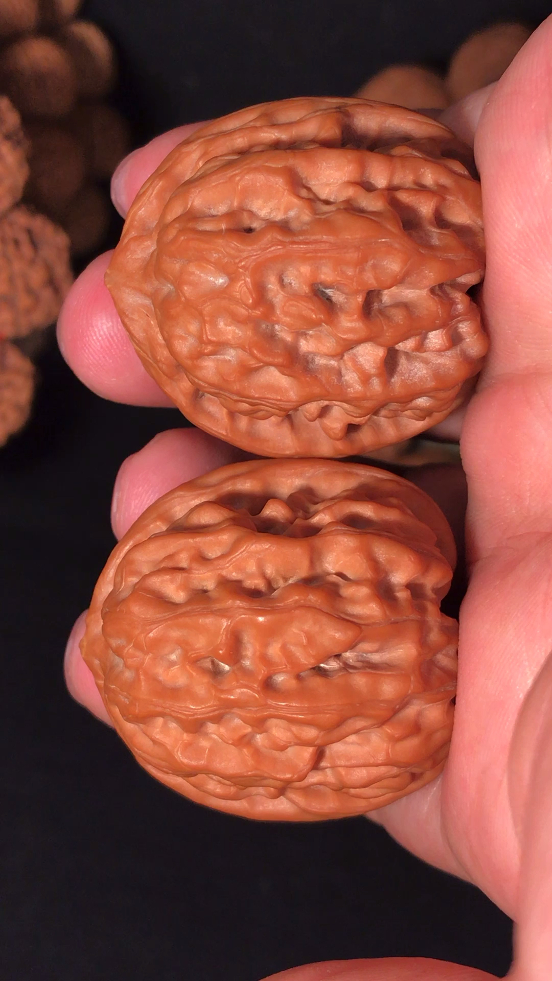 文玩核桃#野生马蹄狮子头