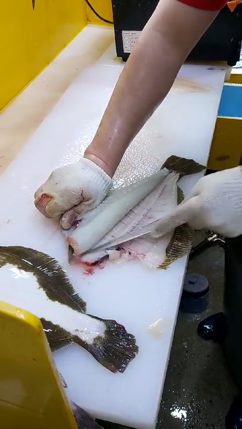 左口鱼分解#分解左口鱼,这个手法大家看看怎么样?
