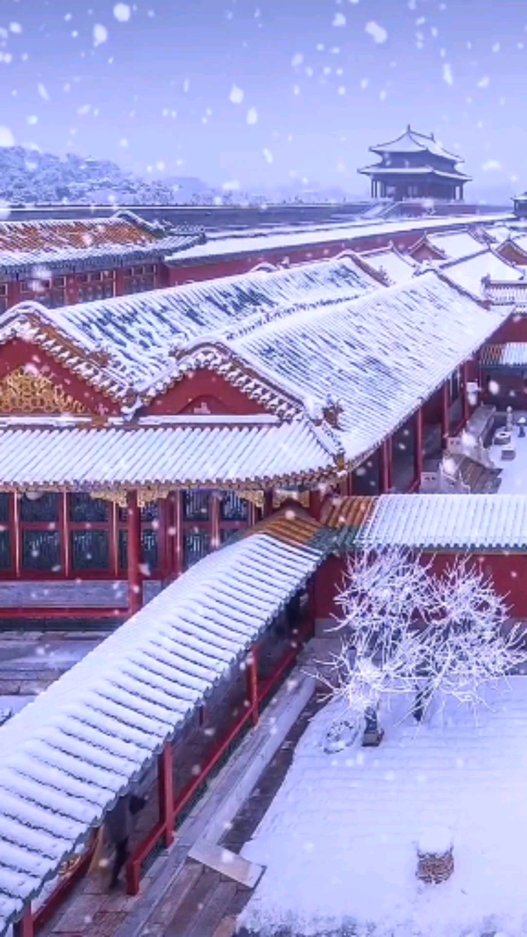 冬天的故宫博物院