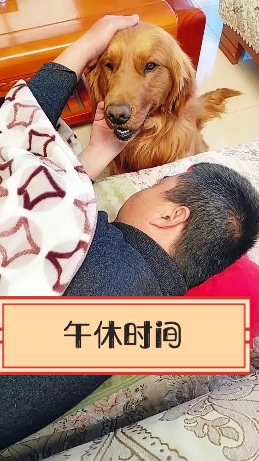 毛毛谢谢你你也休息一会儿吧