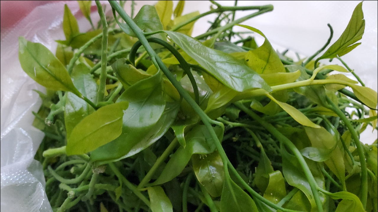 美食#比猪肉还贵好几倍的云南野菜,云南甜菜