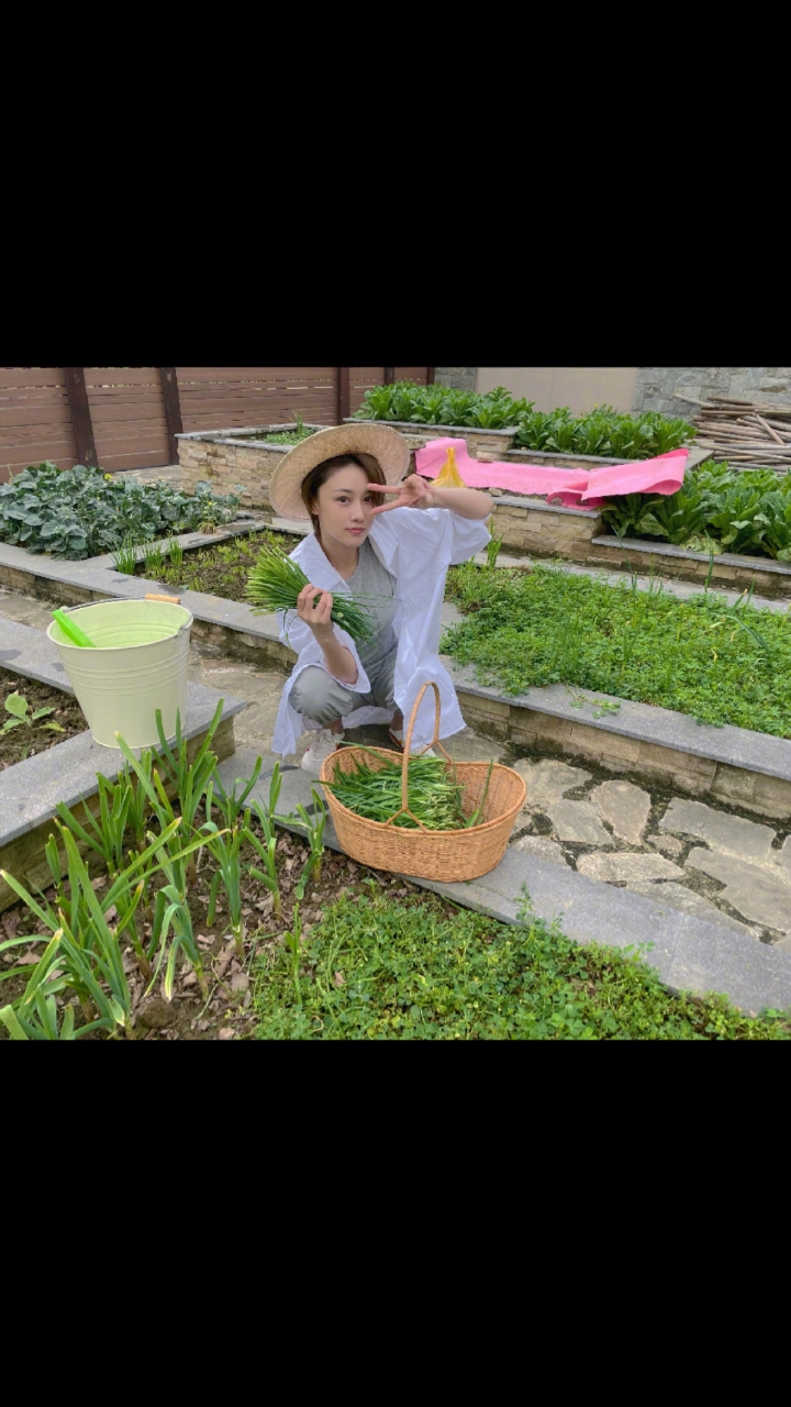 明星娱乐#张馨予晒自家小菜园,称自己是农场博主