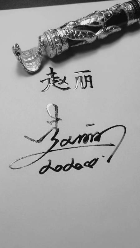 签名要有创意把美留给你赵丽请惠存美观大气好写好看简洁又实用你学会