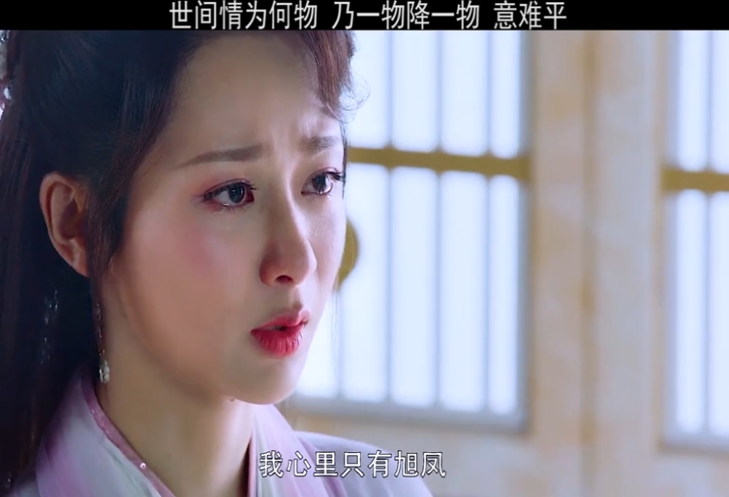 电视剧第28集问世间情为何物乃一物降一物意难平