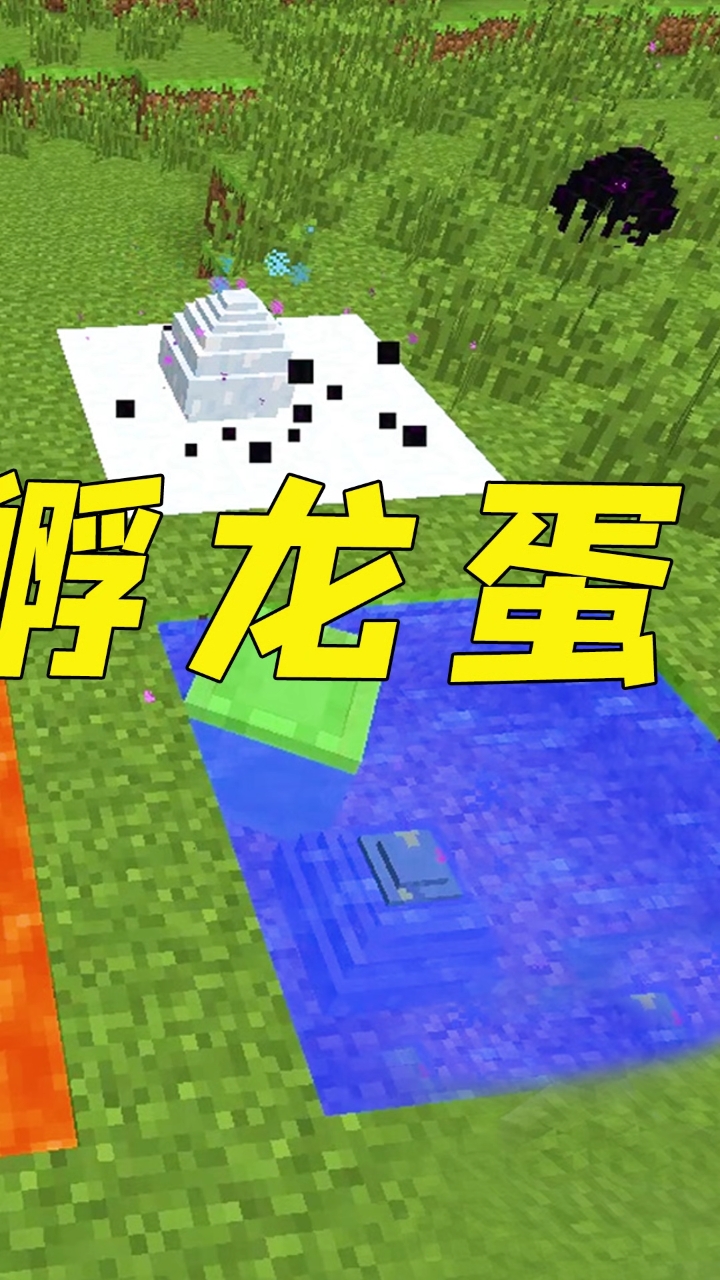 我的世界:末影龙蛋居然有这么多种,手把手教你孵蛋3-度小视