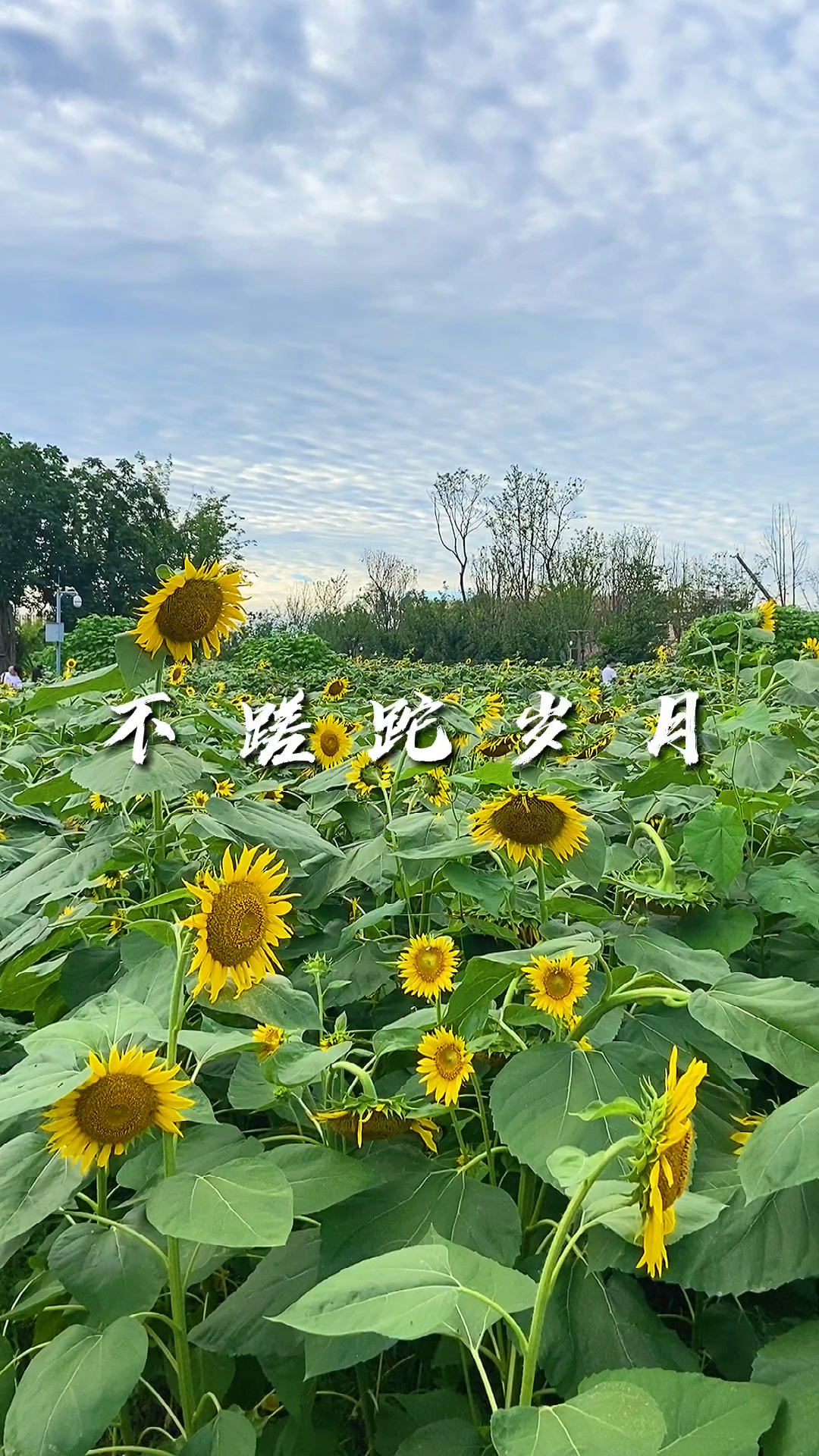 我的旅行日记#不辜负时光,不蹉跎岁月,人知足就快乐,心简单就幸福.