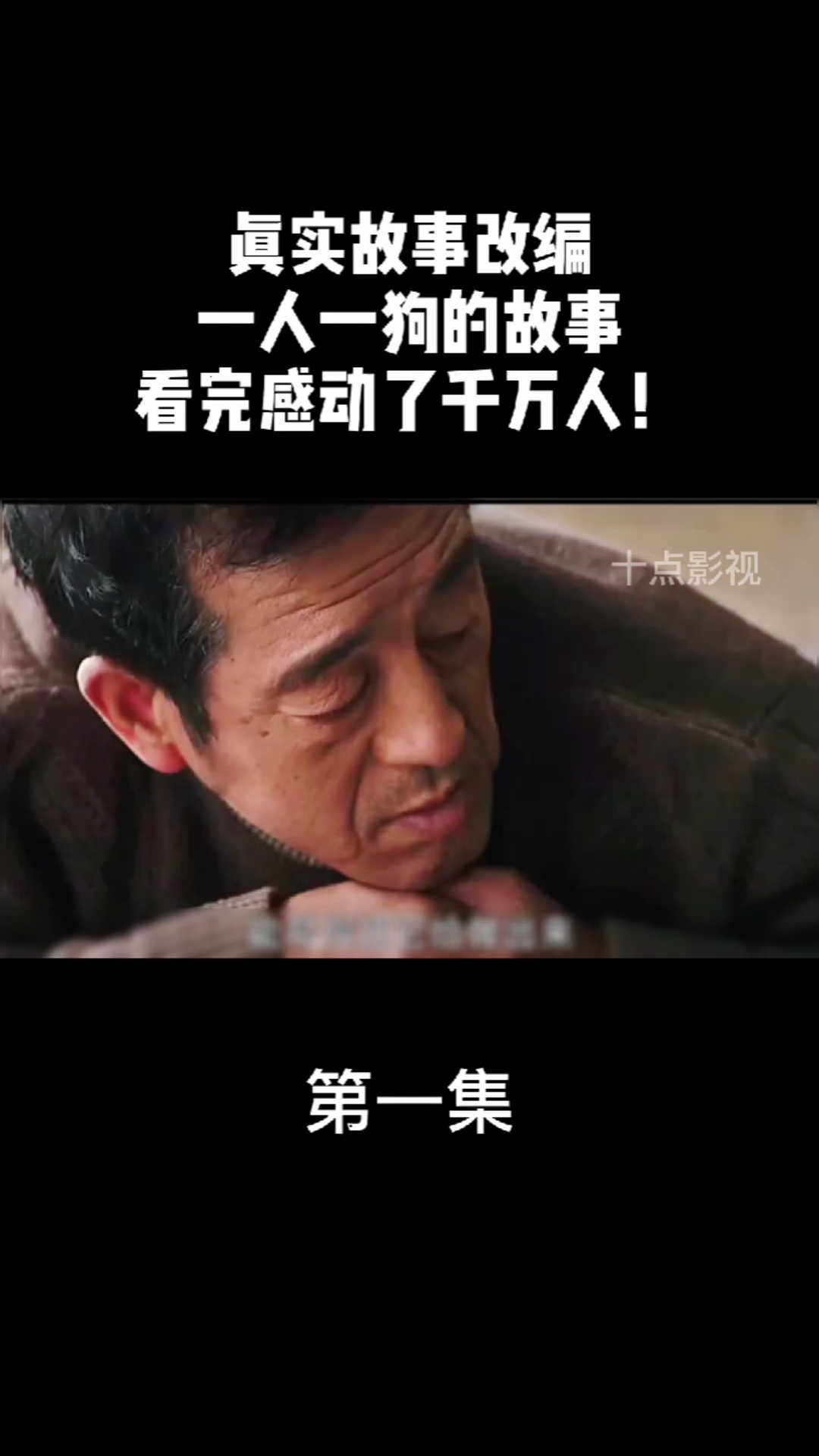 忠爱无言:国产催泪电影,你养我十年,我陪你一生!看完泪流满面!