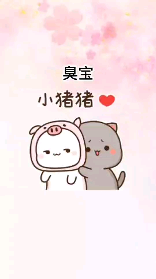 表情包#臭宝原谅我遇见你很晚