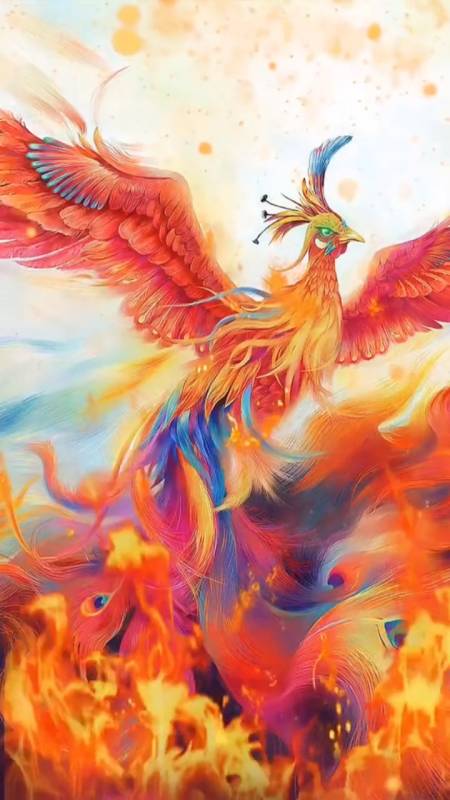 大自然美景#凤凰涅盘,浴火重生,你的转变将会让你扶摇直上,一飞冲天.