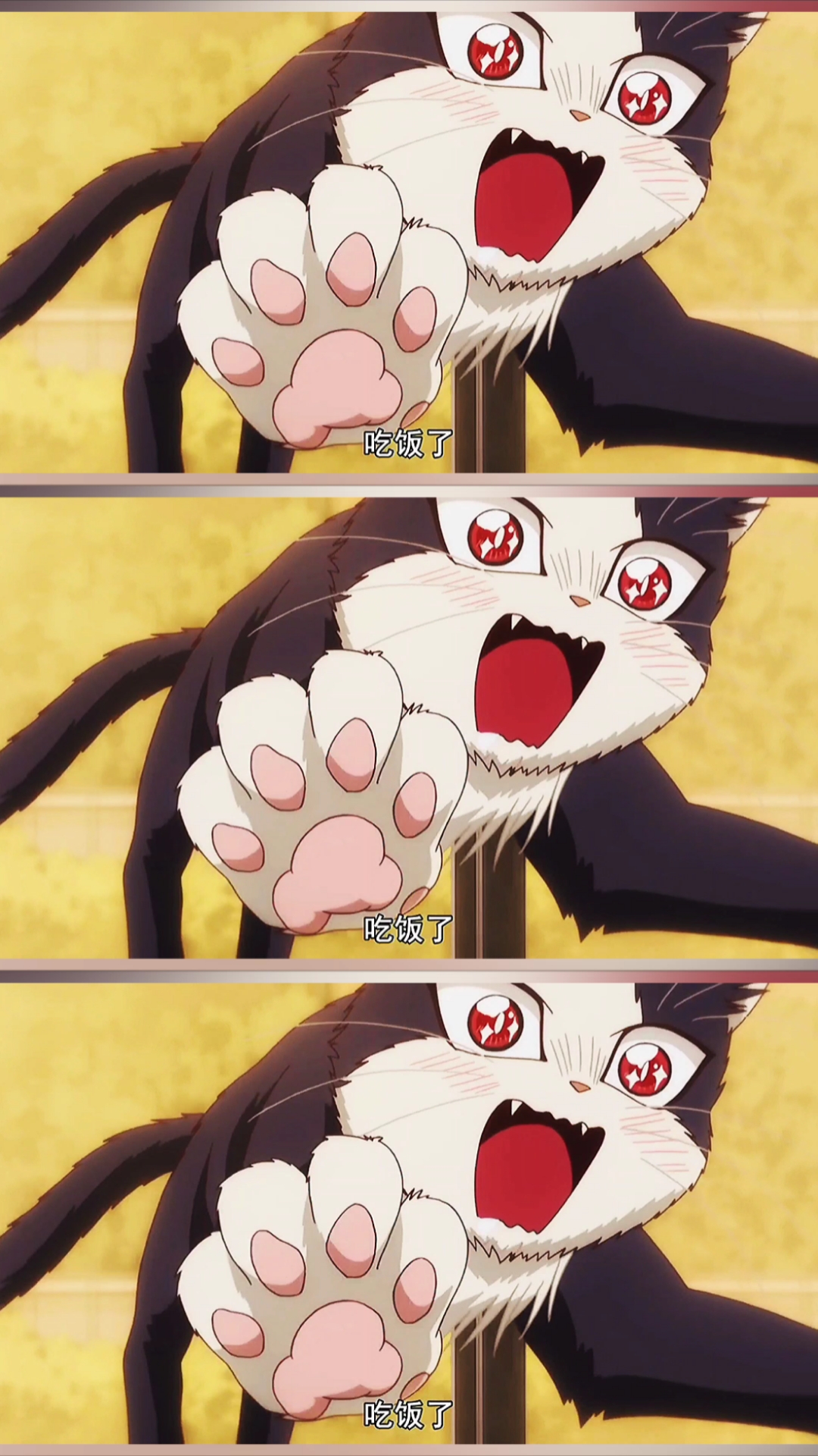 动漫#好家伙,我愿称这猫为最积极的干饭猫!