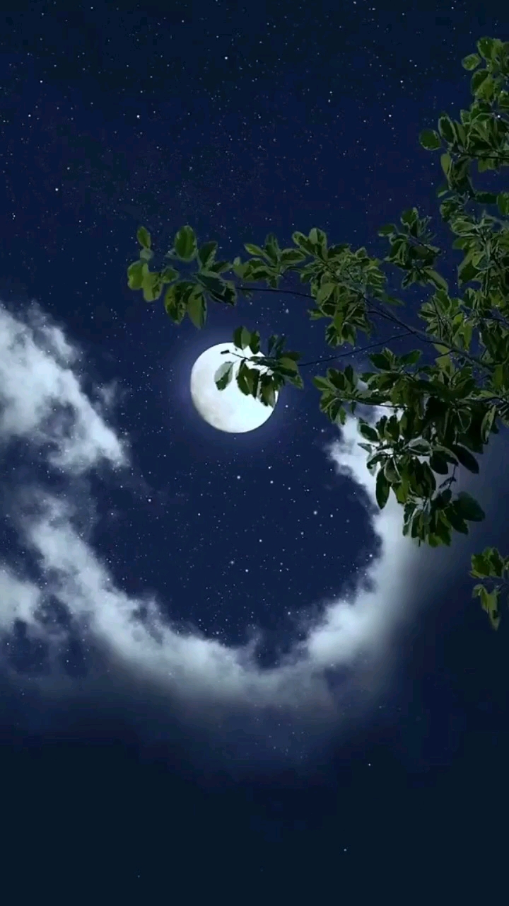 一轮圆月挂天边,满心祝福涌心间.天各一方遥相念,中秋徍节共婵娟.