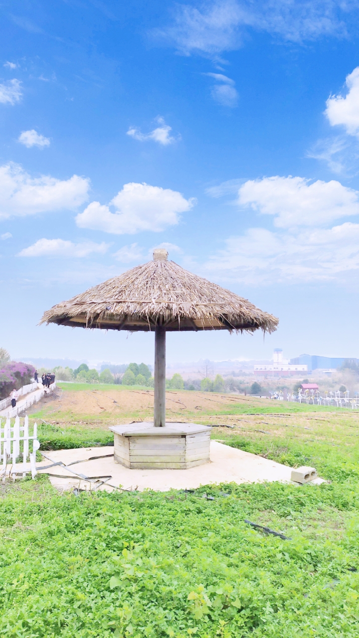 五一出游记#茅草屋凉亭