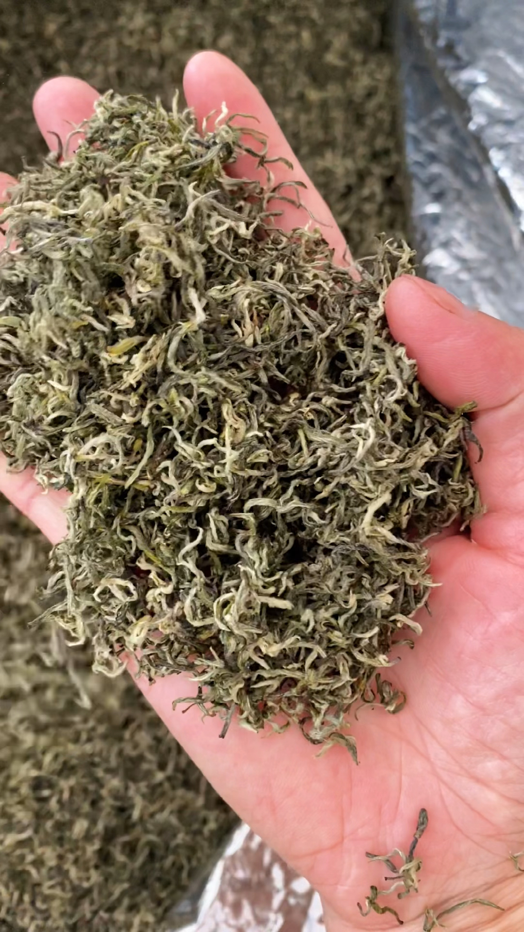 绿茶江西狗牯脑茶如鸭屎香一样茶如其名很土很老气但很好喝