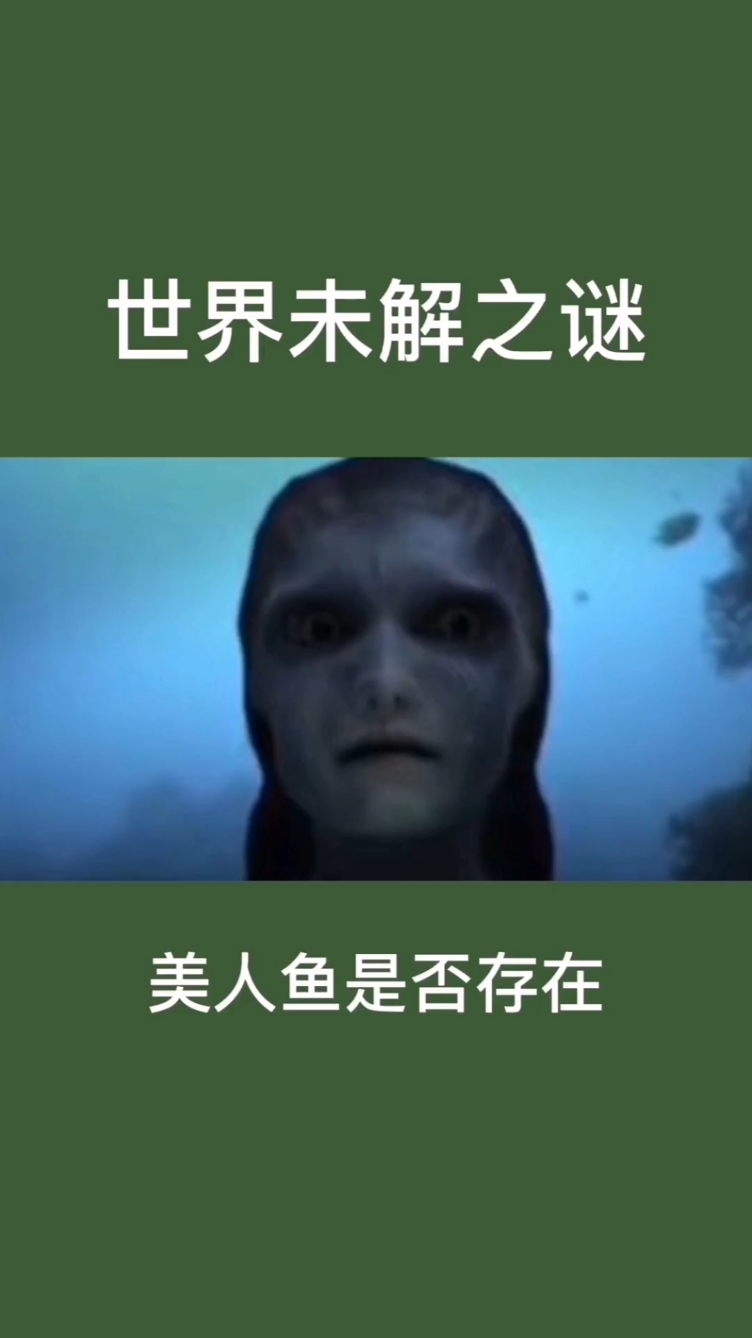 美人鱼 人鱼是否真的存在于世界