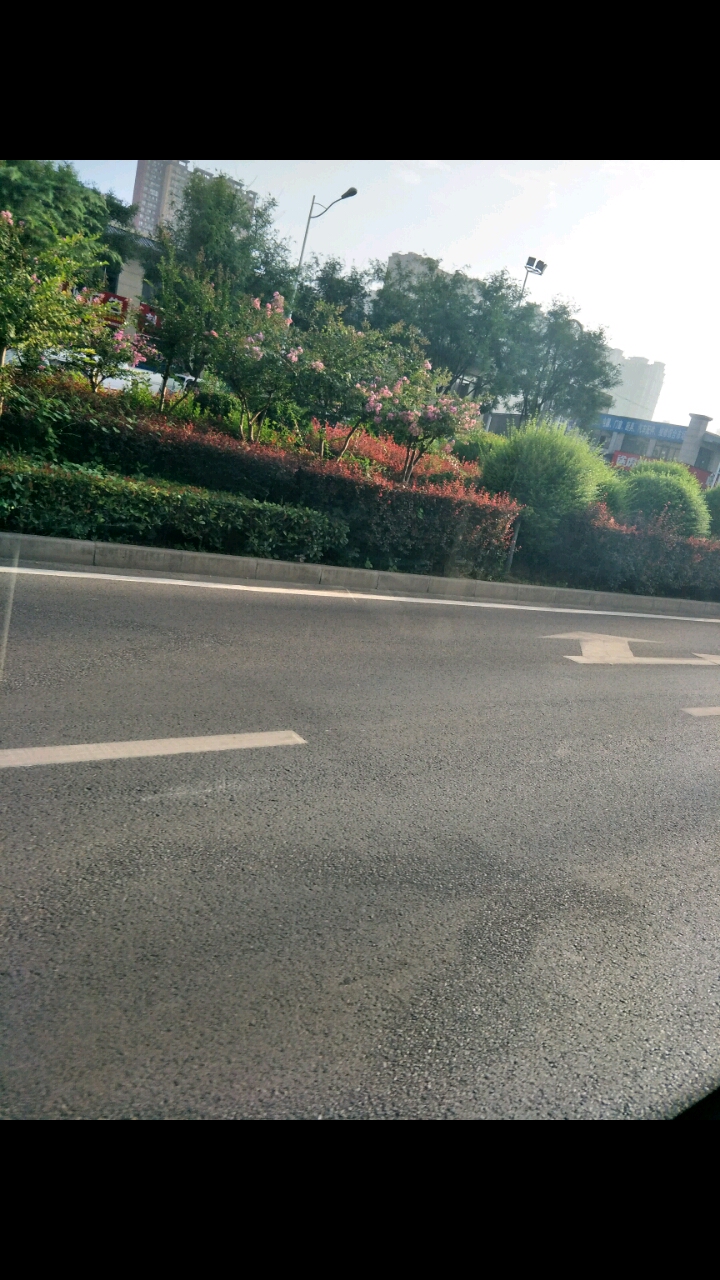 早上上班的路上