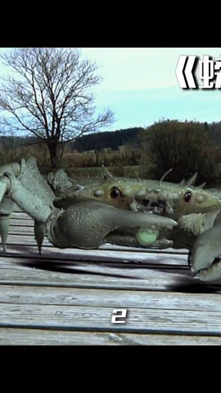 女孩捡个螃蟹当宠物,没想到螃蟹发生变异,长到卡车那么大