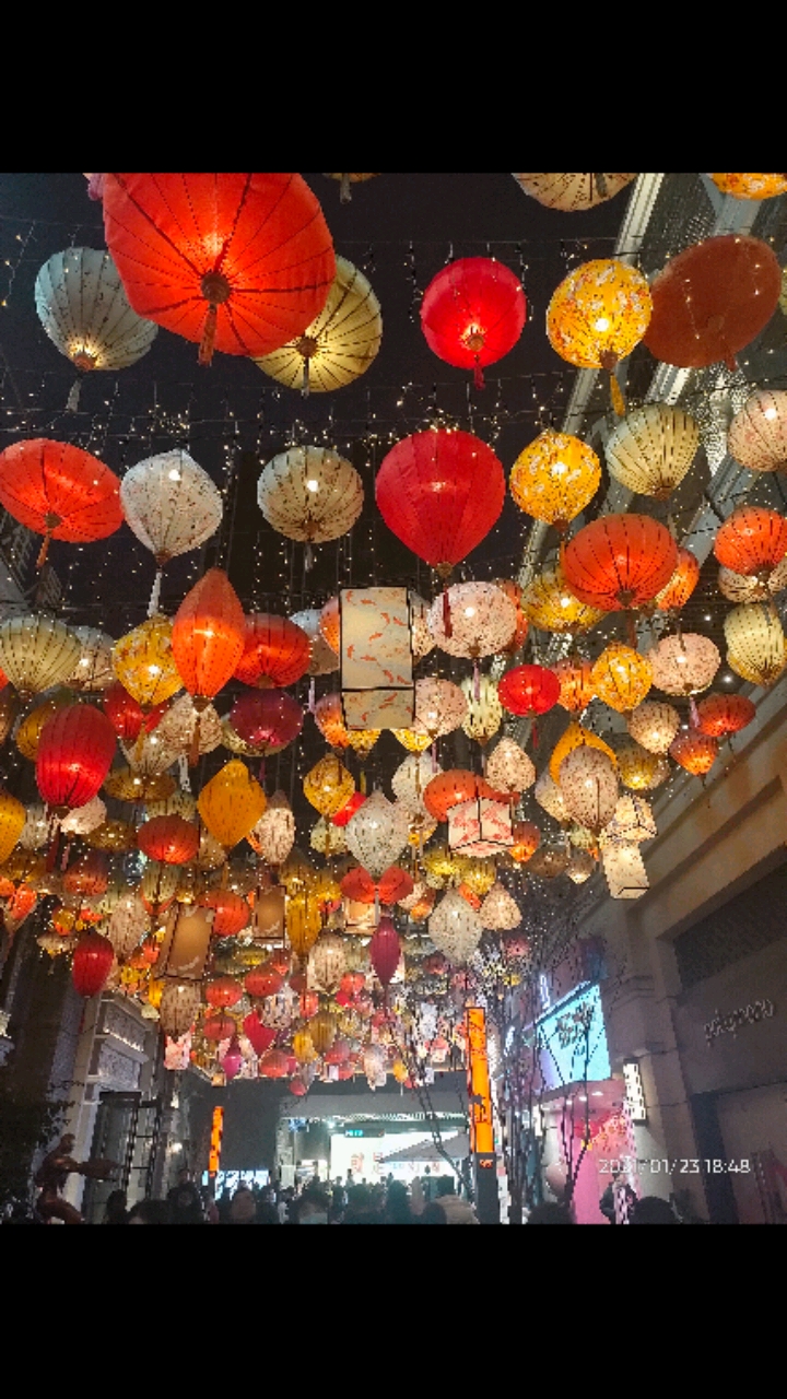 我的家乡年#重庆长嘉汇的灯展如梦似幻呐