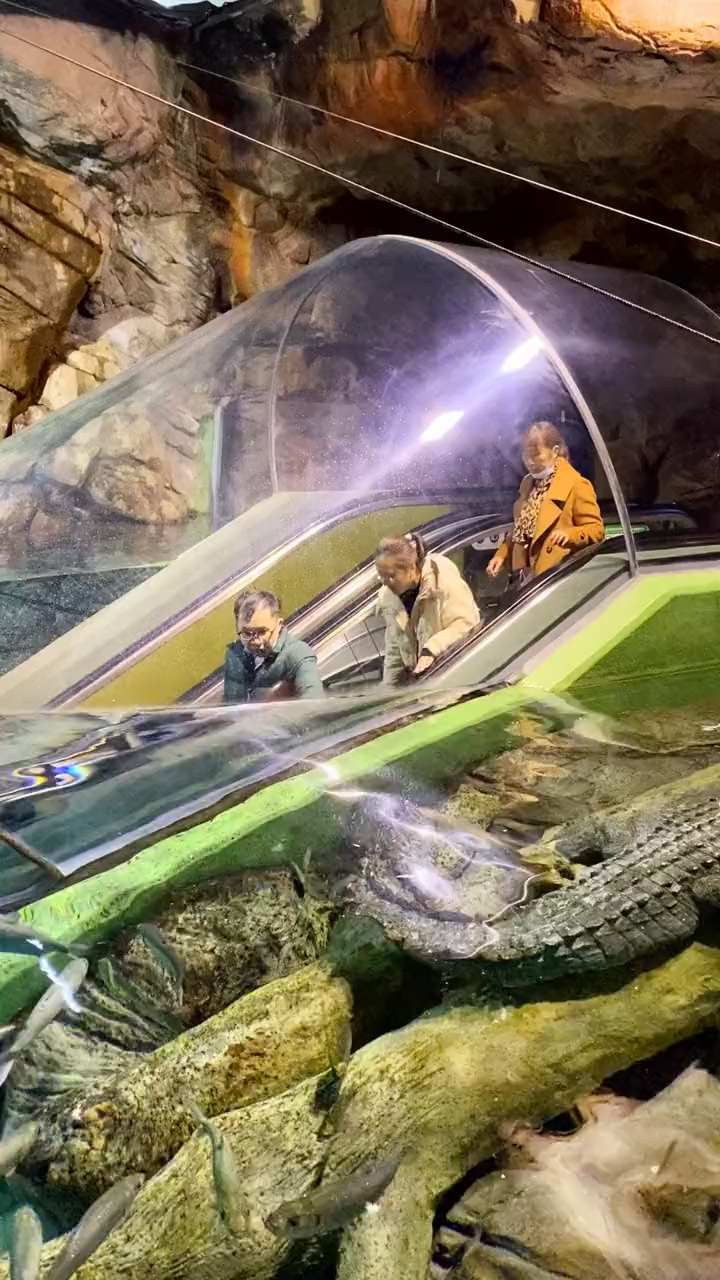 可以通往海底3000米的水下电梯,为伟大的制造工人点赞!