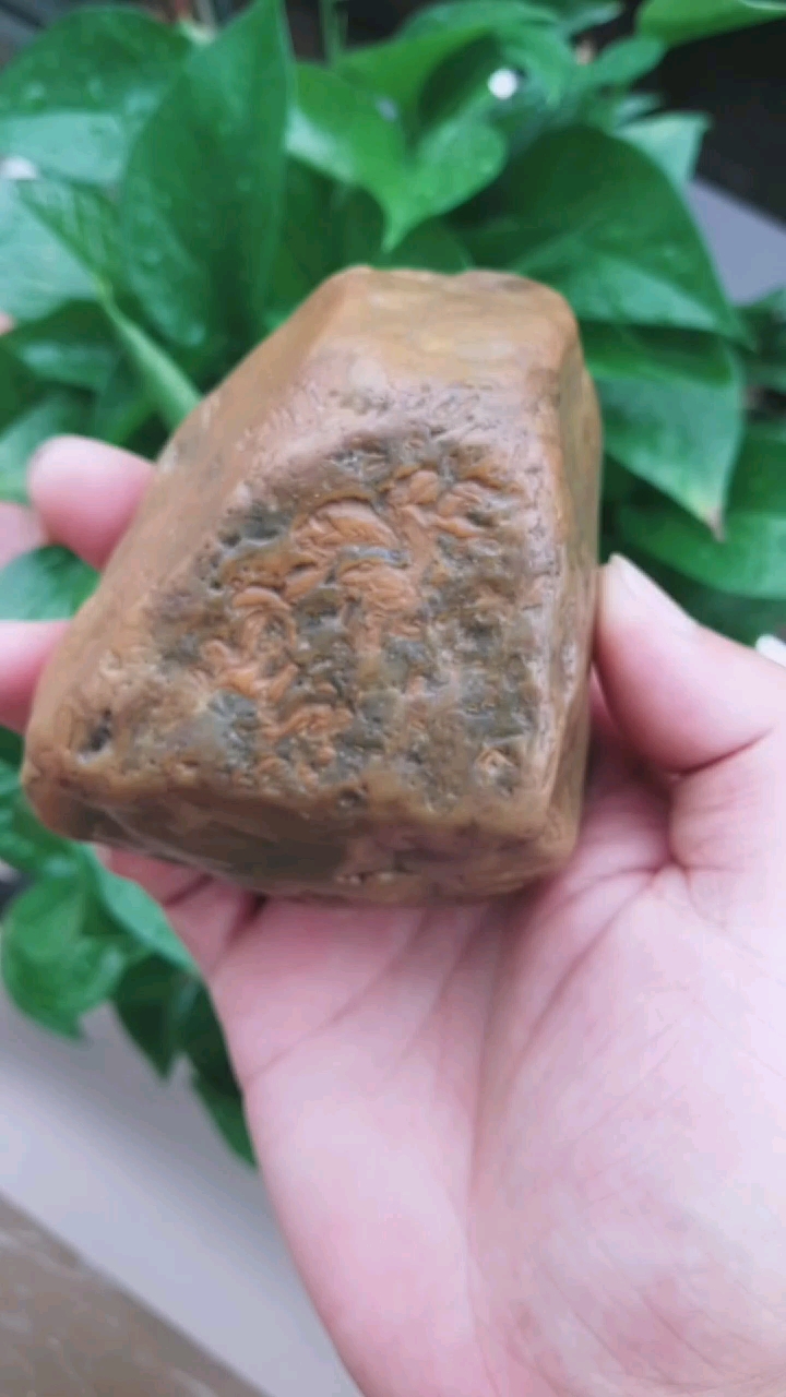 黄蜡石碧玉冻
