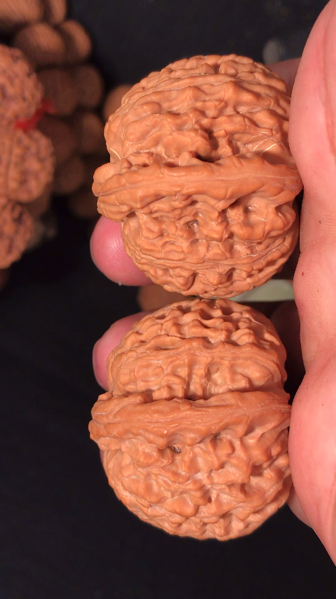 文玩核桃#42尺寸的闷尖白!