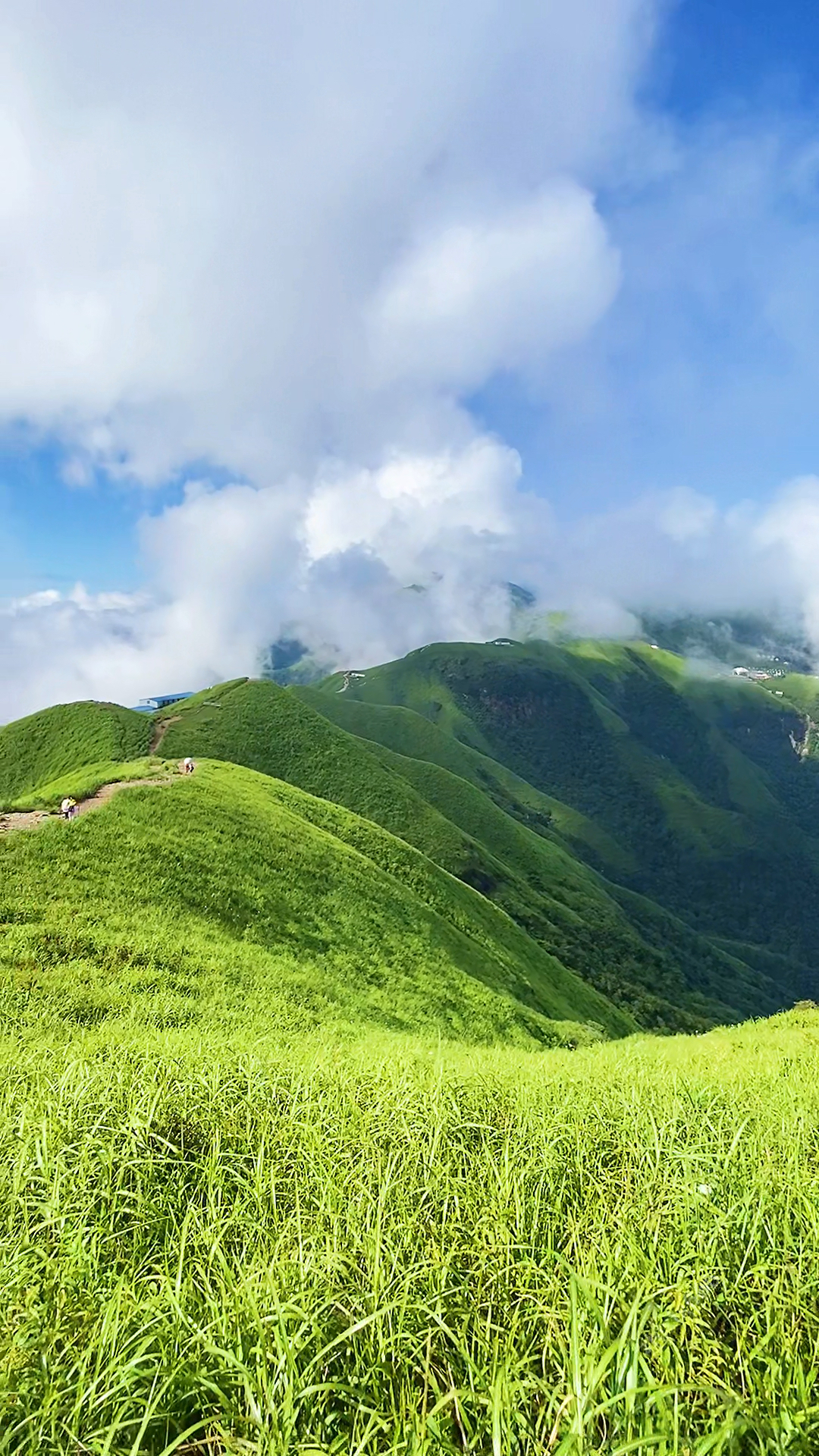 旅行#总要去趟武功山吧,去看看那美丽的云中草原.