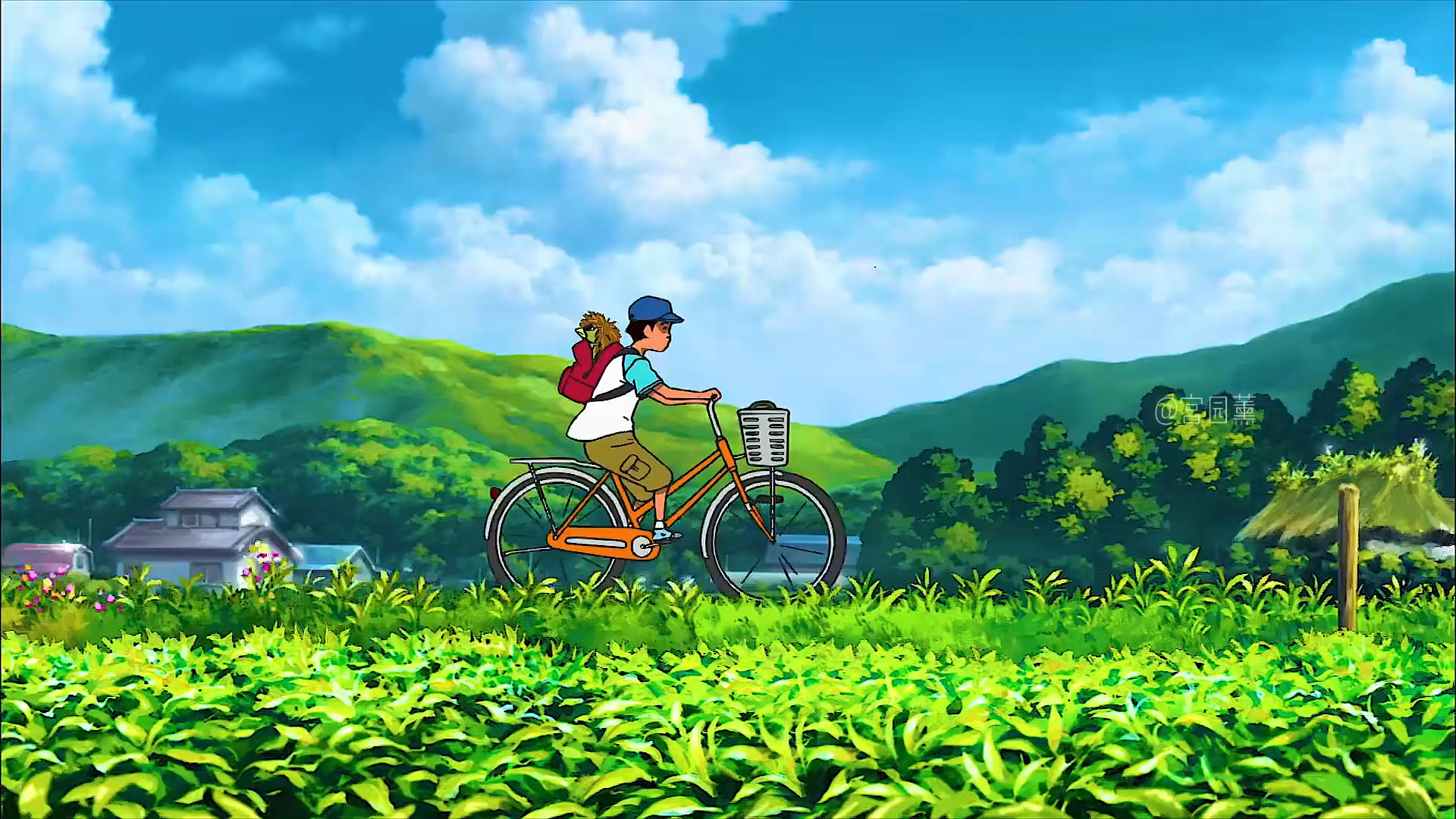 动漫努力做一个积极向上的人在阳光下灿烂在风雨中奔跑做自己的梦只为