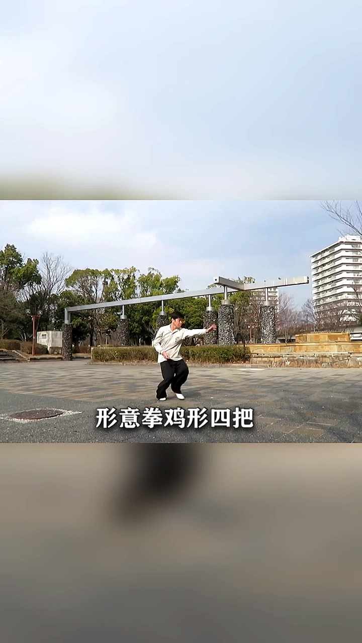 形意拳尚派形意拳十二形之鸡形