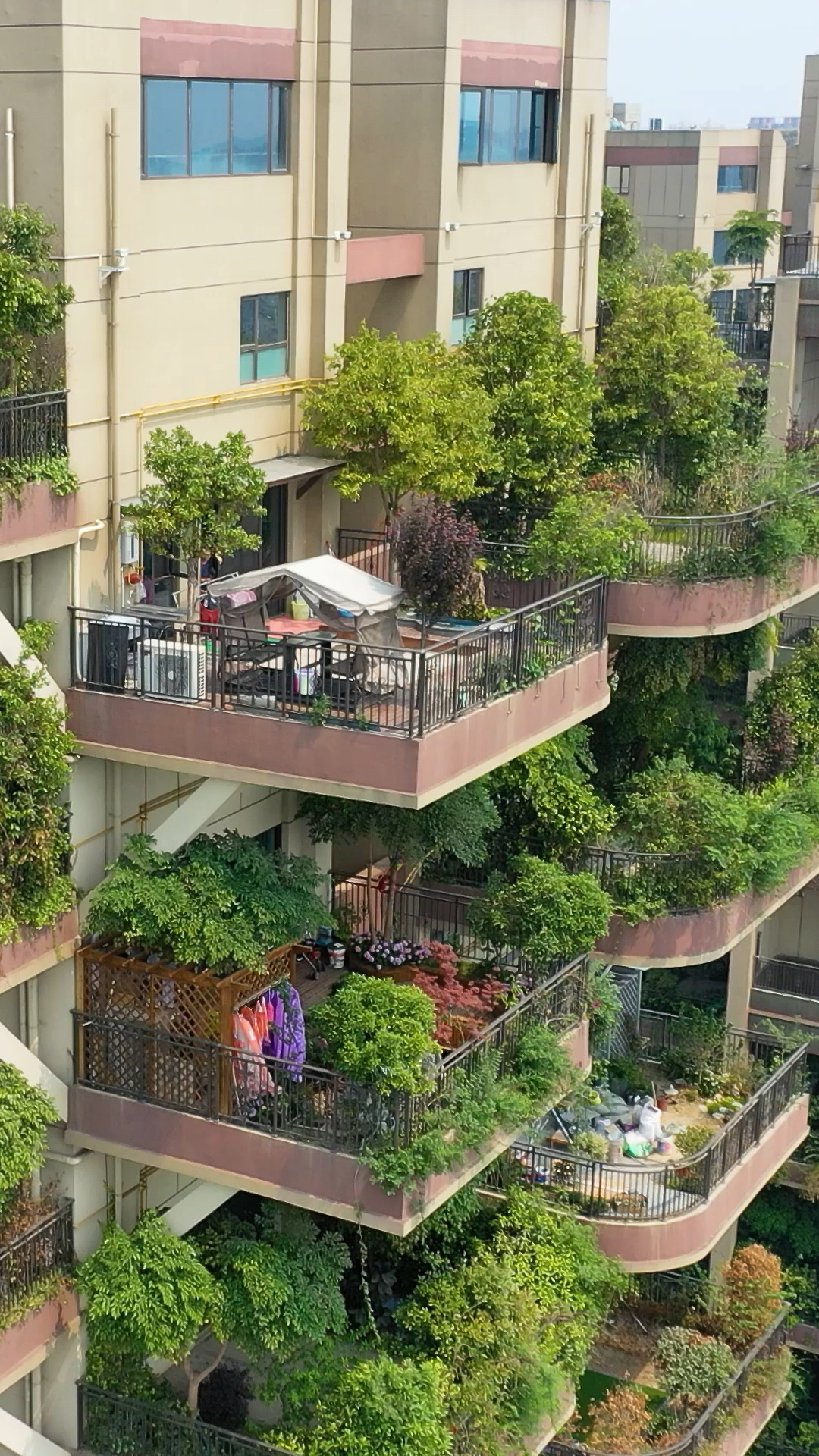 成都第四代住宅,把花园搬进自己的家园