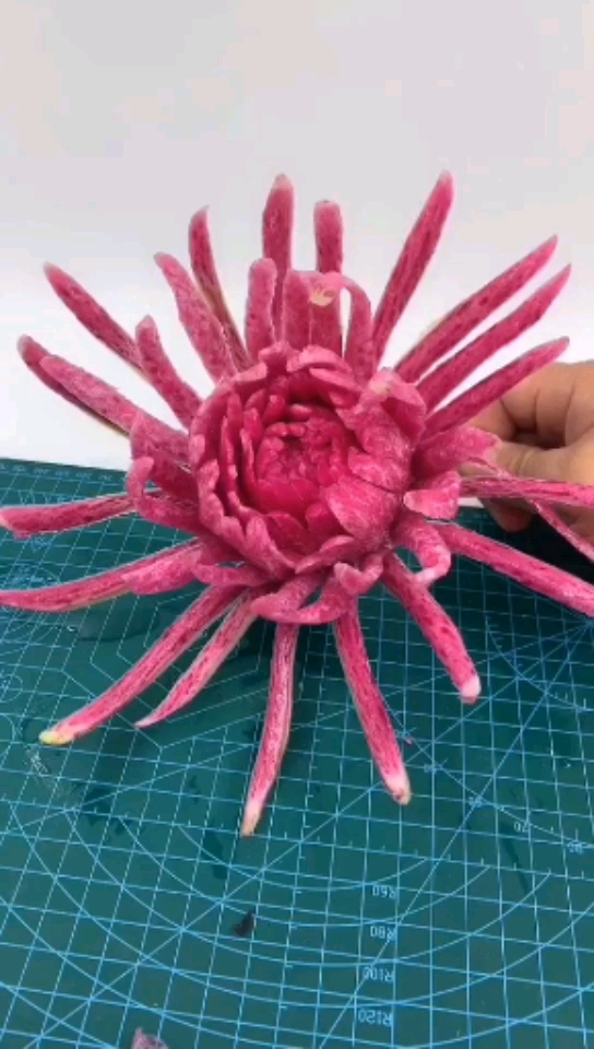 过好冬天#才艺人用萝卜雕刻的菊花,太美啦!