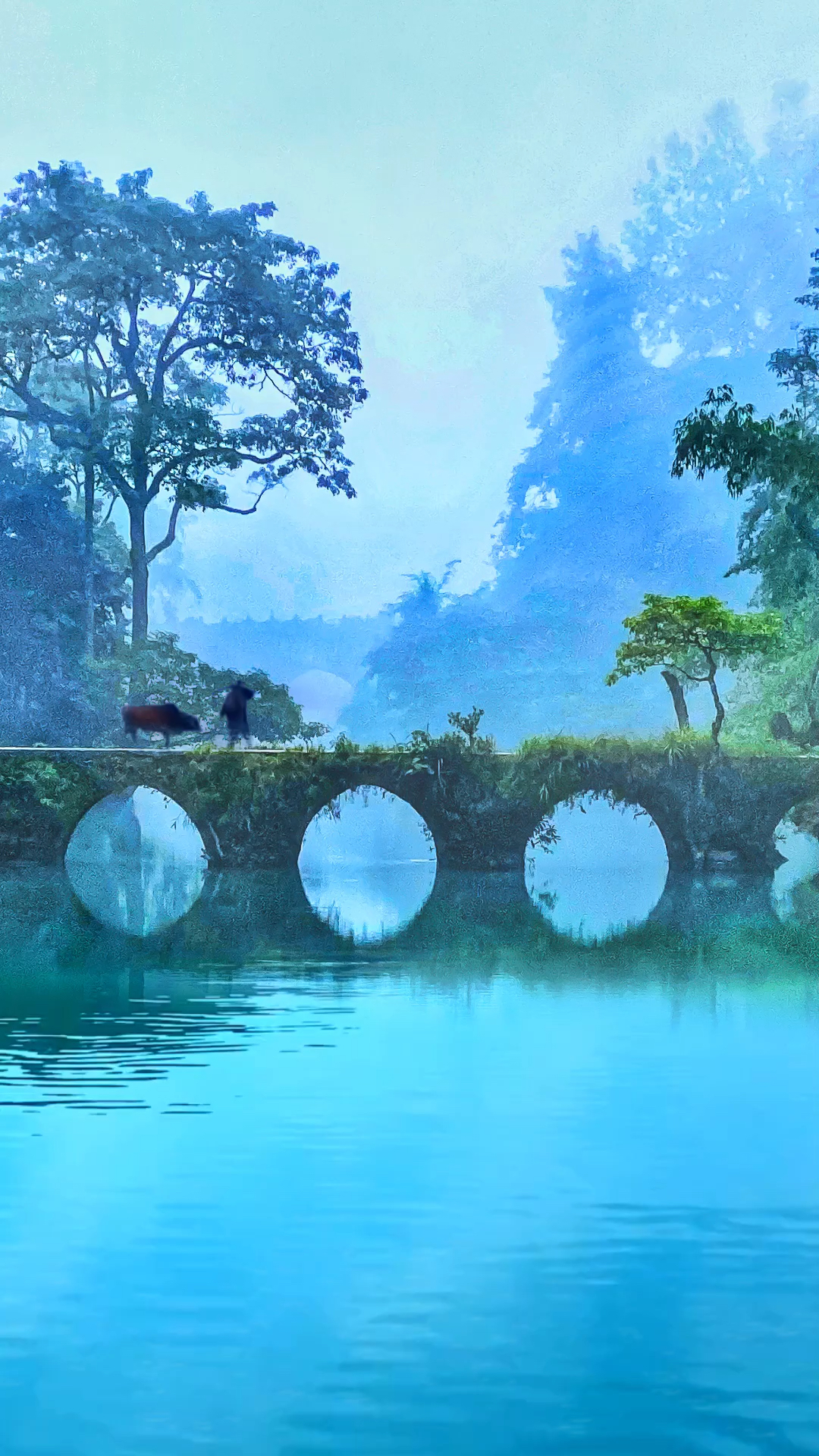 半山半水半朦胧,一桥一牛一老翁,本是红尘俗世客,奈何痴贪入画中.