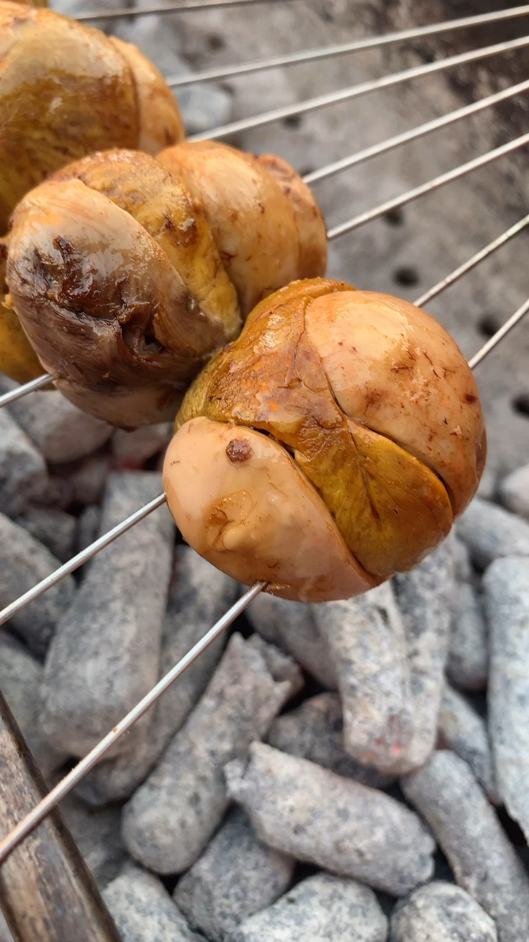 深夜放毒#烤活珠子