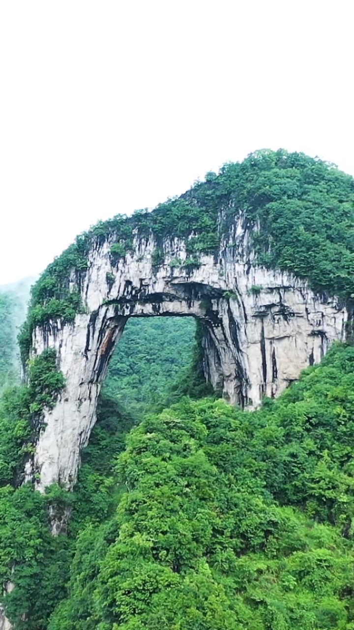旅行#贵州大山上的象鼻山,大自然的鬼斧神工