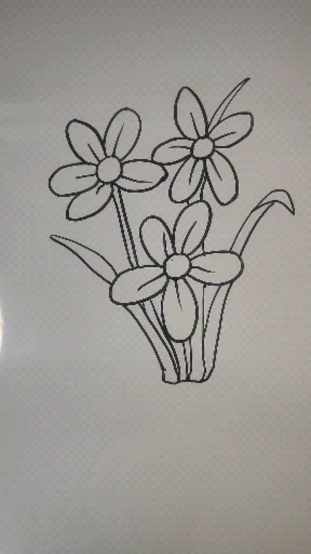 画画原来如此简单简笔画美丽的水仙花水仙花有着吉祥如意的美好寓意