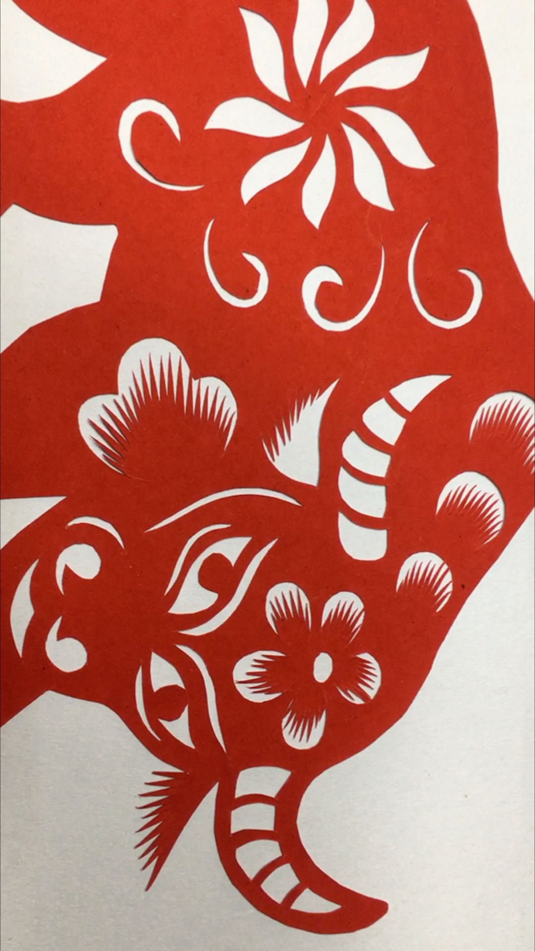 剪纸牛,送给爱剪纸的朋友们