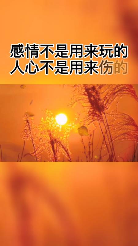 感情不是用来玩的,人心不是用来伤的,信任不是用来骗的