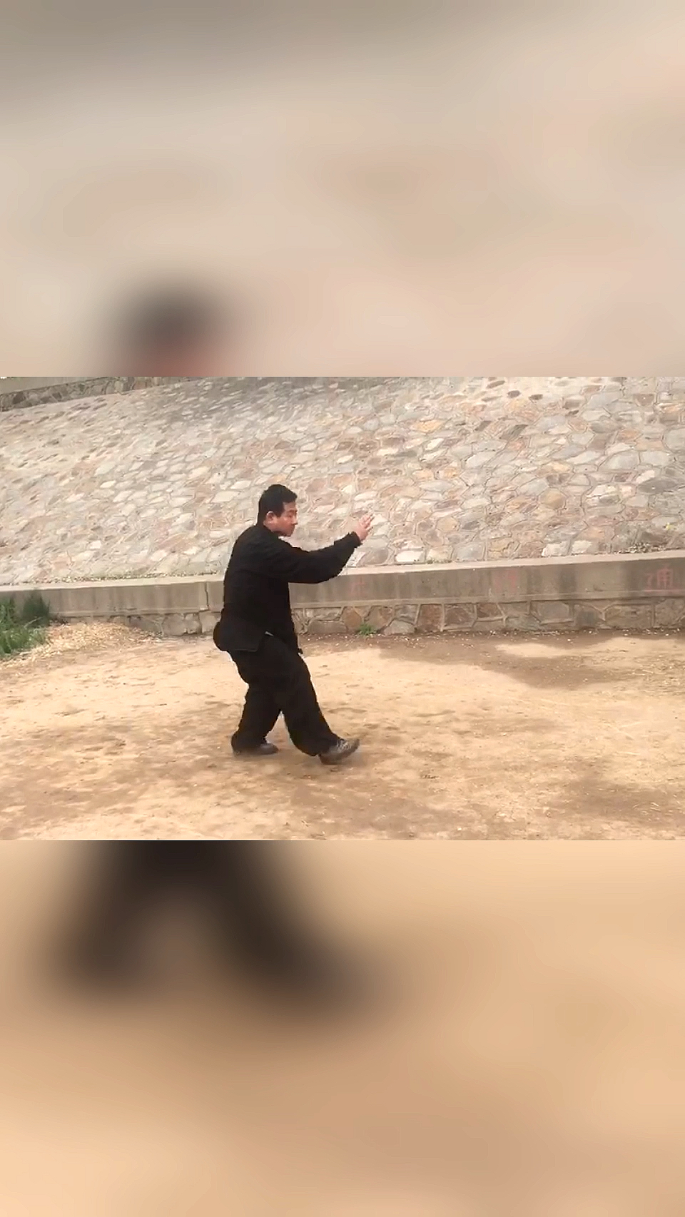 通背拳#张喆五行通臂拳传人张春裕弟子郑荣庆演练猿猴穿林式