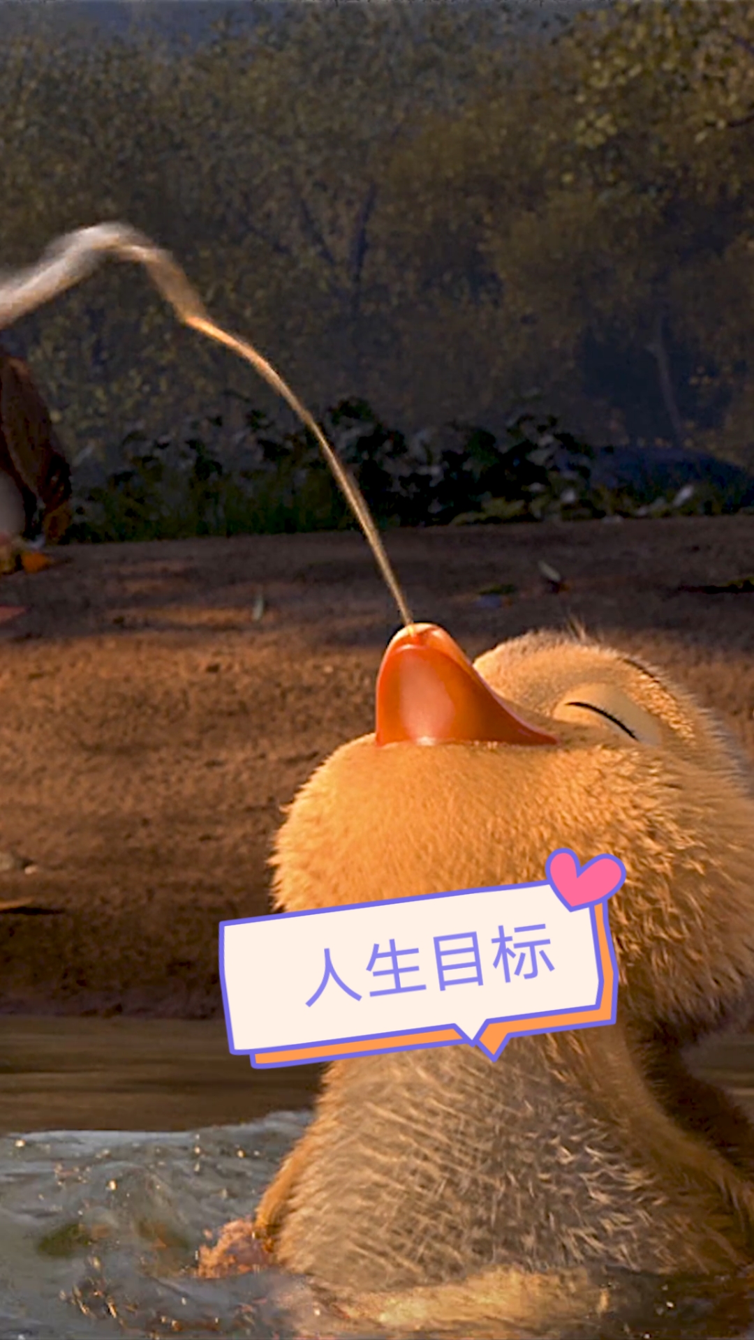 搞笑视频#人生目标:吃好喝好睡好玩好!