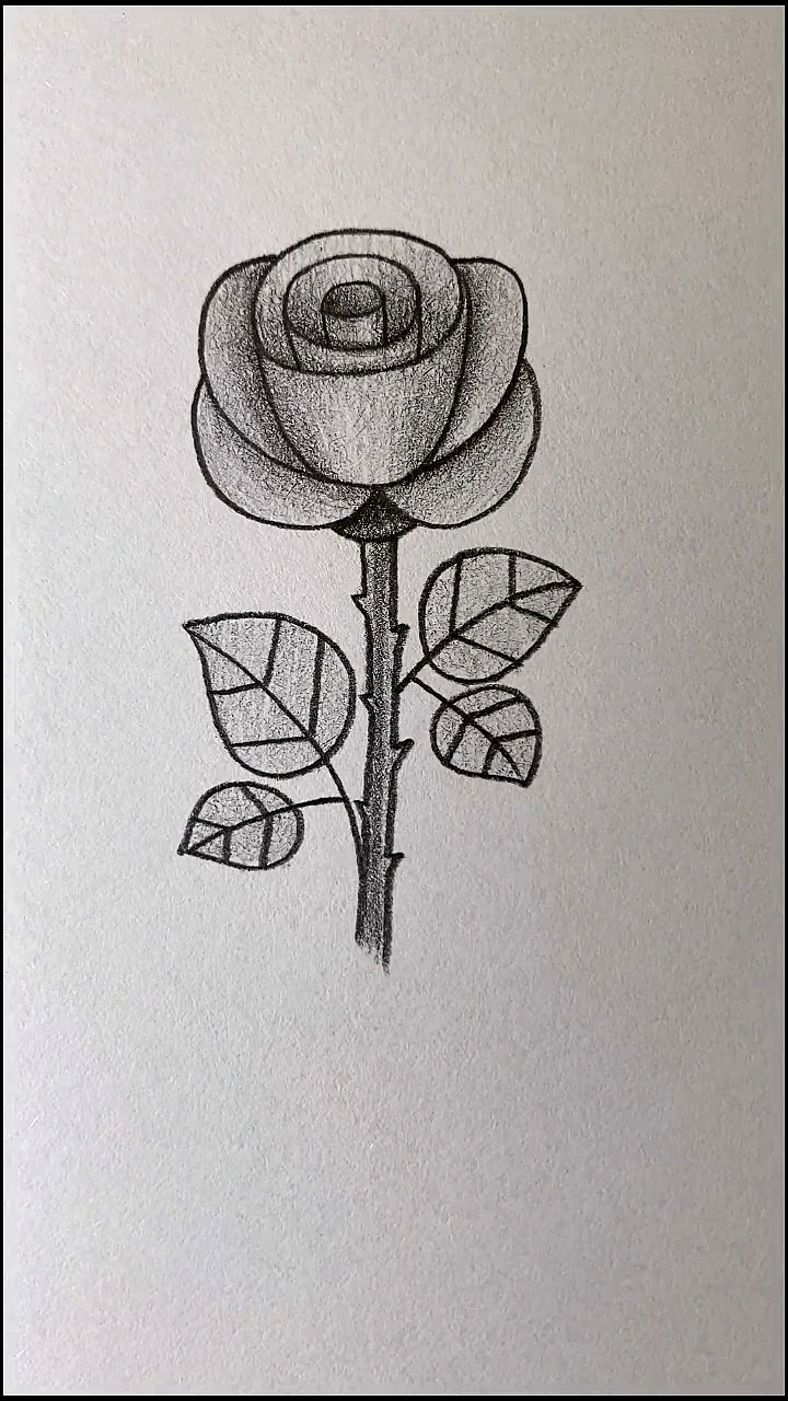 简笔画#画带刺的玫瑰花