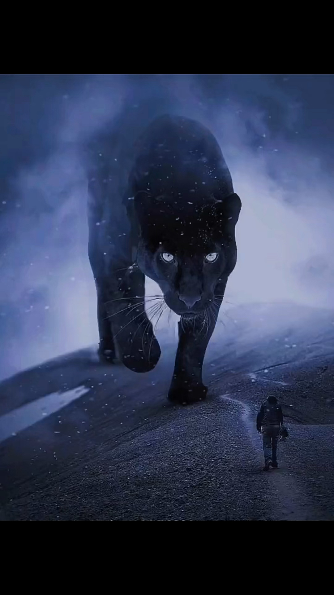 3d感圧迫感/3d压迫感大片儿