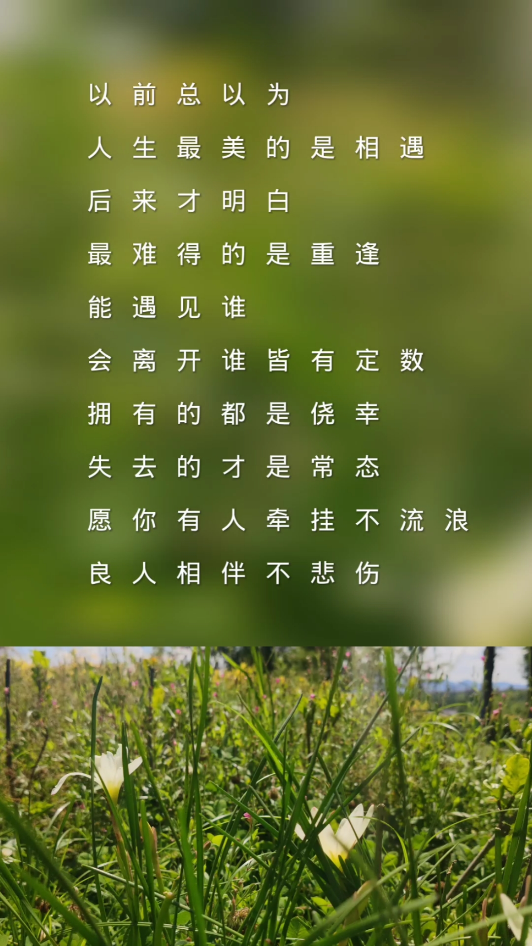 扎心情感语录#人生拥有的都是侥幸,失去的才是常态.