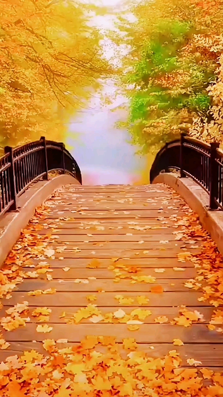 破壳计划#素材,风景,背景