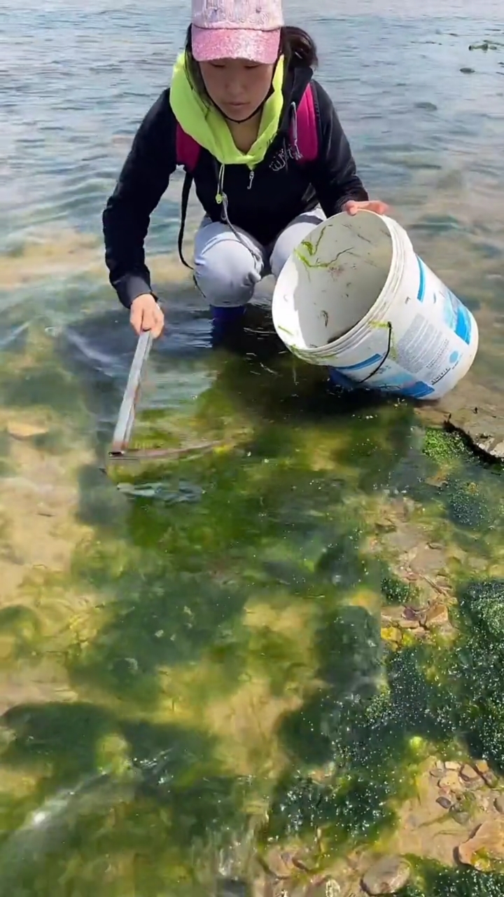 农村宝妈做的晚饭,去海边弄来海菜跟土豆一起炖个汤,再贴上一圈饼子