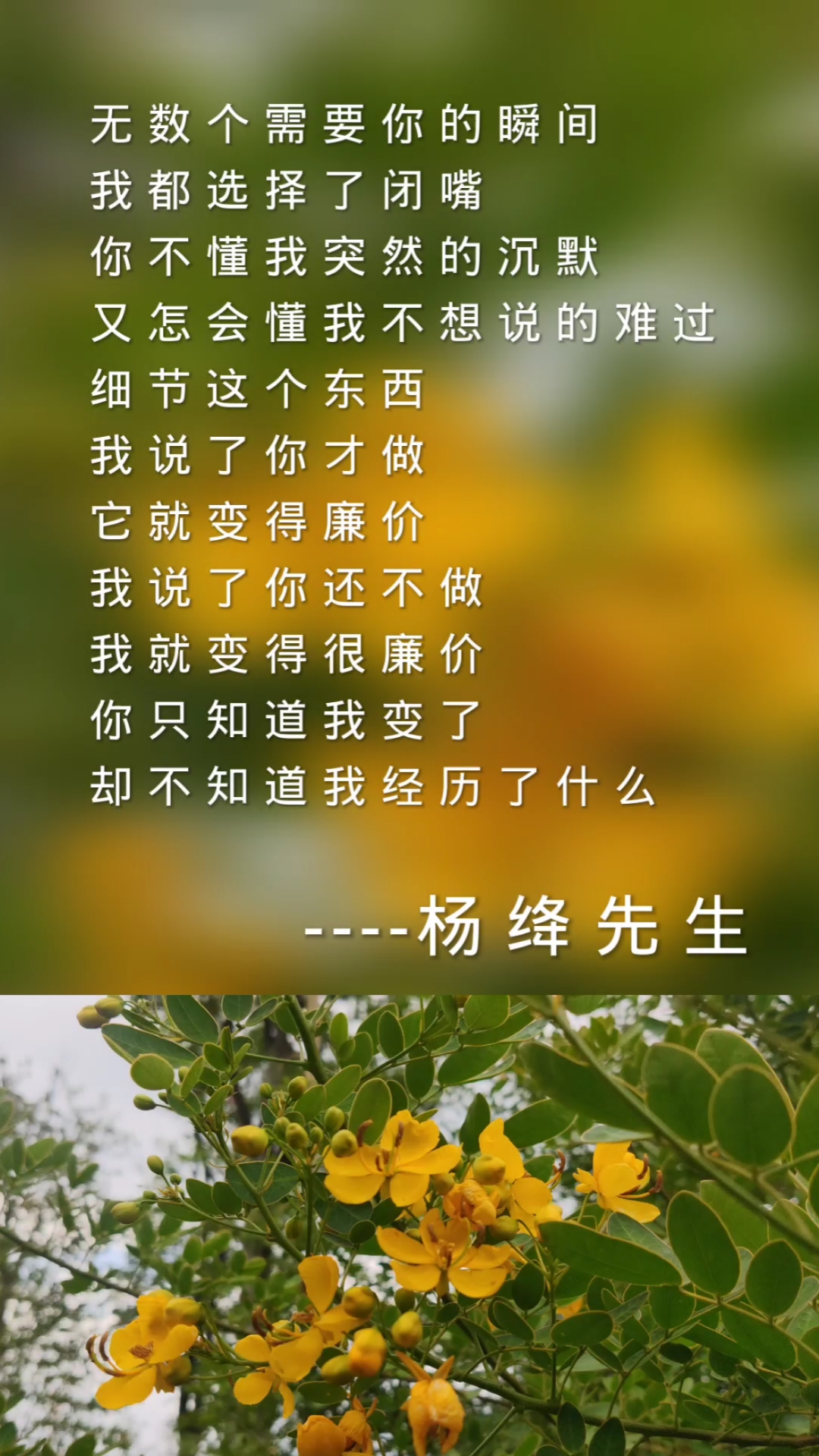 扎心情感语录你不懂我突然的沉默又怎会懂我不想说的难过