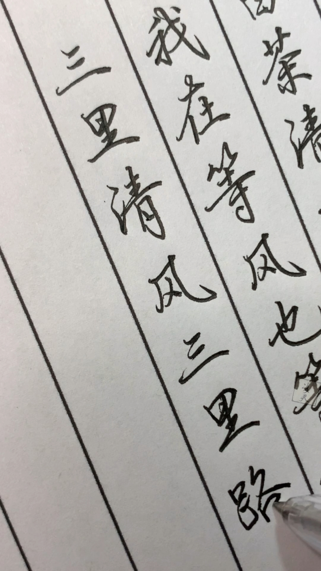 手写文字#白茶清欢无别事,我在等风也等你