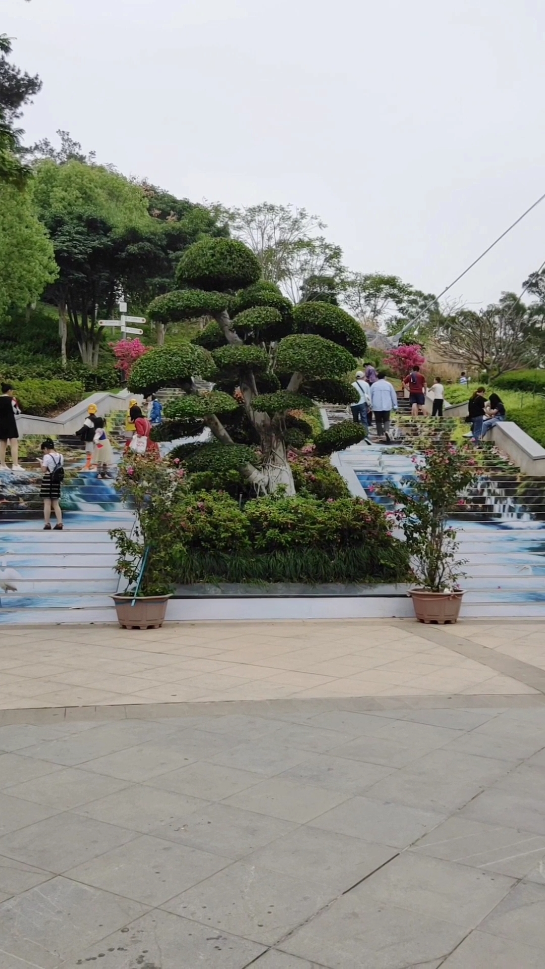 厦门虎头山公园,山水云梯成了新的网红打卡地